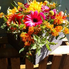 Autumn Crate