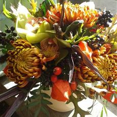 Autumn Splendour