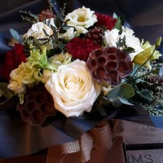 Red and White Christmas Blooms