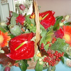 Mulberry Basket