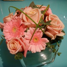 Powder Pink Vase Arrangement