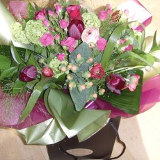 Spring Jewels