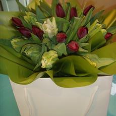 Tulip Explosion