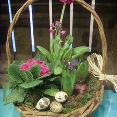 Rustic Pink Planted Basket