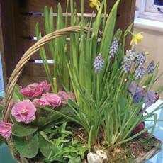 Country Basket