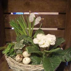 Planted Winter Basket 