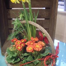 Vibrant Spring Basket